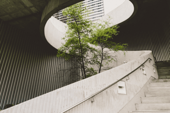 Conference Sustainability: Resources & advice for event planners