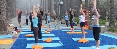 OMED delegates do yoga