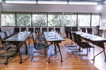 What does a professional conference organiser do?
