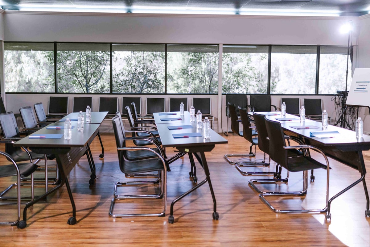 What does a professional conference organiser do?